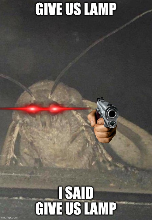 Moth | GIVE US LAMP; I SAID GIVE US LAMP | image tagged in moth | made w/ Imgflip meme maker