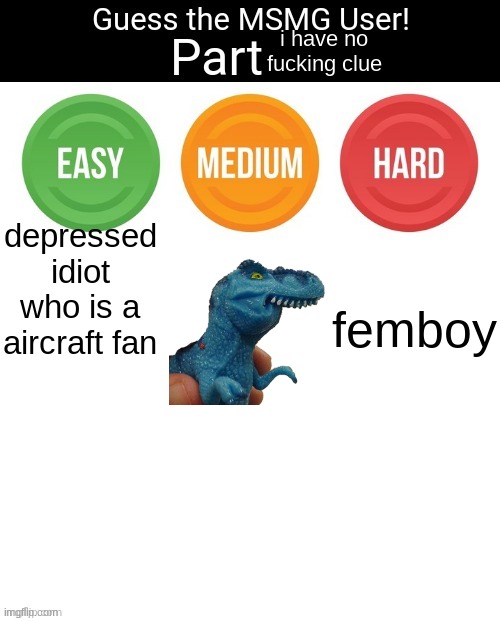 Guess The MSMG User | i have no fucking clue; depressed idiot who is a aircraft fan; femboy | image tagged in guess the msmg user | made w/ Imgflip meme maker