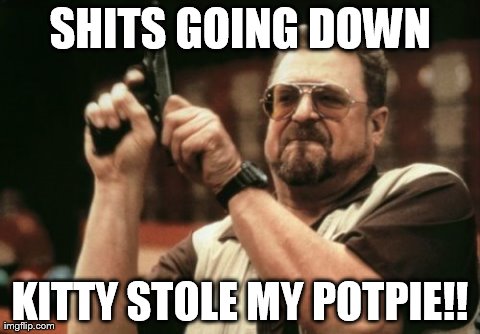 Am I The Only One Around Here | SHITS GOING DOWN KITTY STOLE MY POTPIE!! | image tagged in memes,am i the only one around here | made w/ Imgflip meme maker