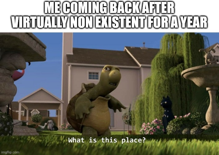 what is this place | ME COMING BACK AFTER VIRTUALLY NON EXISTENT FOR A YEAR | image tagged in what is this place | made w/ Imgflip meme maker