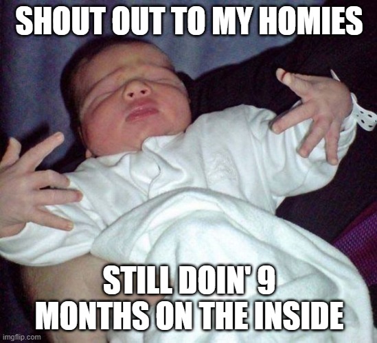 did my time | SHOUT OUT TO MY HOMIES; STILL DOIN' 9 MONTHS ON THE INSIDE | image tagged in oh wow are you actually reading these tags,baby,gangster baby | made w/ Imgflip meme maker