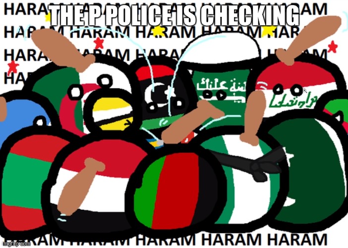 checking.... | THE P POLICE IS CHECKING | made w/ Imgflip meme maker