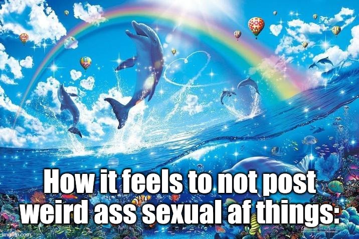 Happy dolphin rainbow | How it feels to not post weird ass sexual af things: | image tagged in happy dolphin rainbow | made w/ Imgflip meme maker
