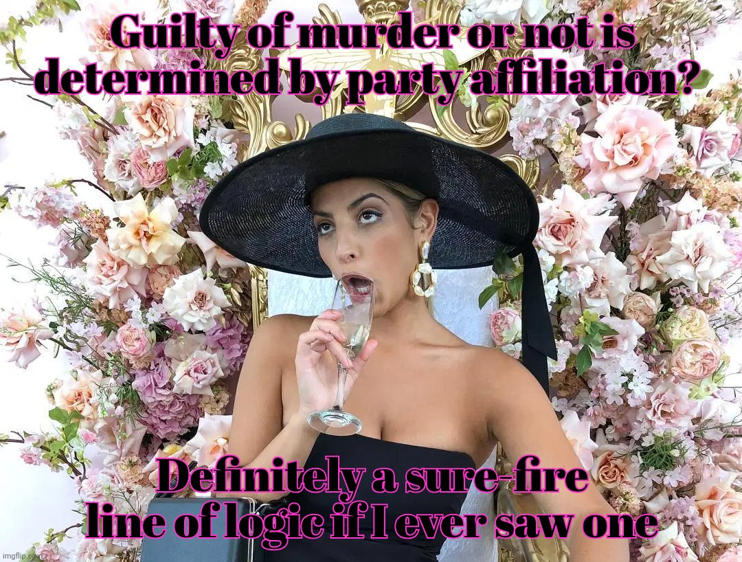 Jade Tunchy | Guilty of murder or not is determined by party affiliation? Definitely a sure-fire line of logic if I ever saw one | image tagged in jade tunchy | made w/ Imgflip meme maker
