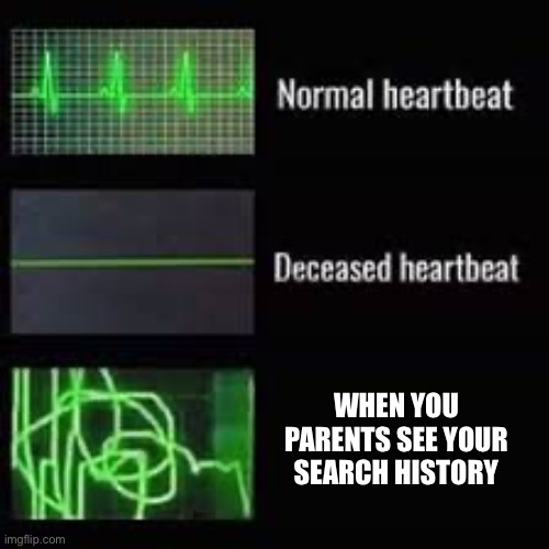 Heart Rate Monitor | WHEN YOU PARENTS SEE YOUR SEARCH HISTORY | image tagged in heart rate monitor | made w/ Imgflip meme maker