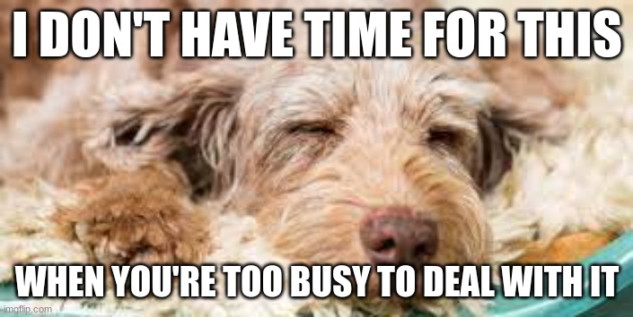 I don't have time for this | I DON'T HAVE TIME FOR THIS; WHEN YOU'RE TOO BUSY TO DEAL WITH IT | image tagged in i don't have time for this | made w/ Imgflip meme maker