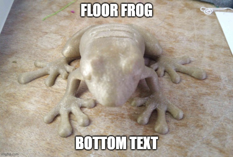 Hi my name is | FLOOR FROG; BOTTOM TEXT | image tagged in hi my name is | made w/ Imgflip meme maker