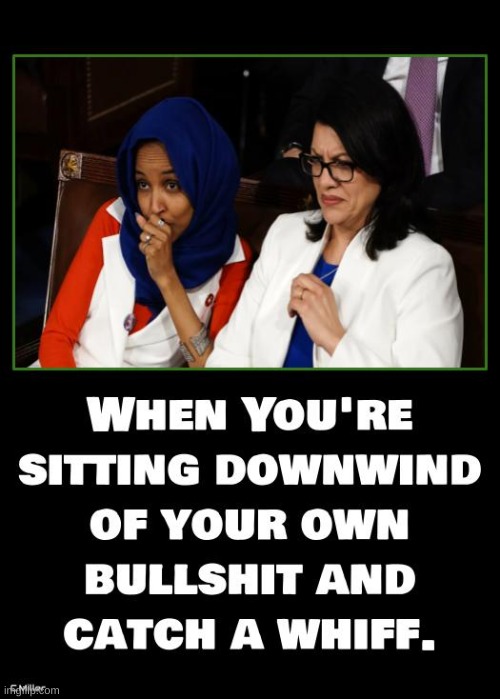 These 2 anti-Israel, Hamas supporters have no business holding any public office | image tagged in ilhan omar,rashida tlaib,democrats,radical islam,politics | made w/ Imgflip meme maker