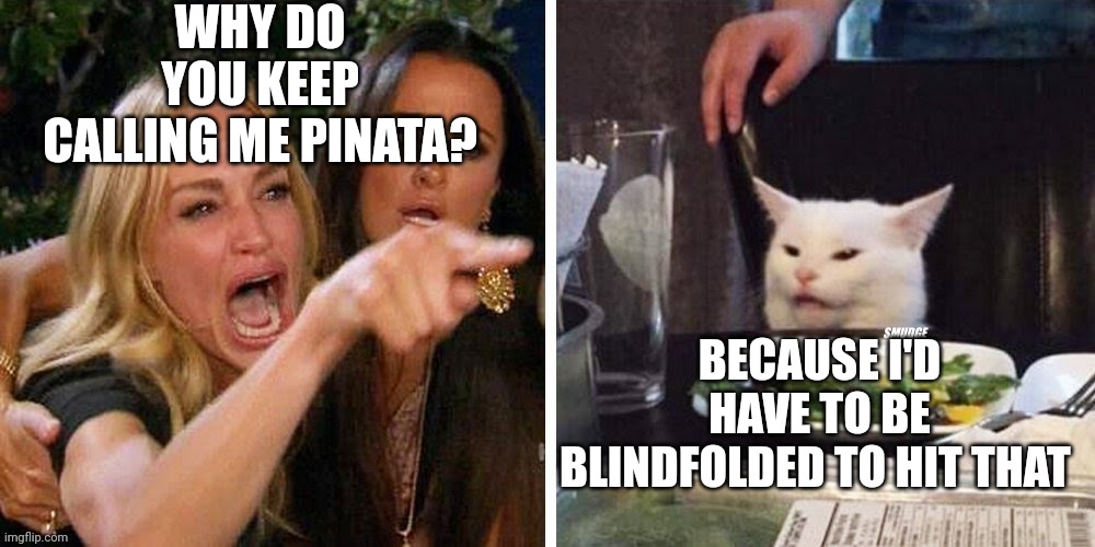 Smudge that darn cat with Karen | WHY DO YOU KEEP CALLING ME PINATA? BECAUSE I'D HAVE TO BE BLINDFOLDED TO HIT THAT | image tagged in smudge that darn cat with karen | made w/ Imgflip meme maker