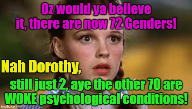 Dorothy and the 72 Genders. | Oz would ya believe it, there are now 72 Genders! Yarra Man; still just 2, aye the other 70 are WOKE psychological conditions! Nah Dorothy, | image tagged in wizard of oz,woke,self gratification by proxy,insanity,left,progressive | made w/ Imgflip meme maker