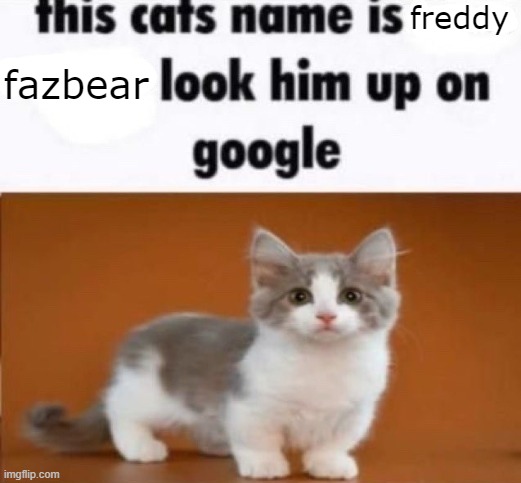 this cats name is x look him up on google | freddy; fazbear | image tagged in this cats name is x look him up on google | made w/ Imgflip meme maker