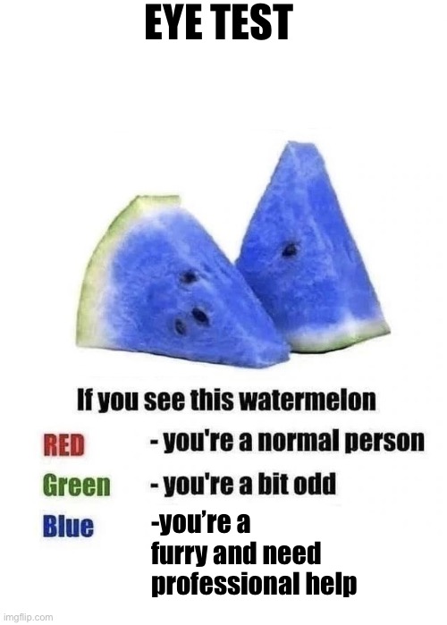 90% of roblox players see blue | EYE TEST; -you’re a furry and need professional help | image tagged in blue watermelon | made w/ Imgflip meme maker