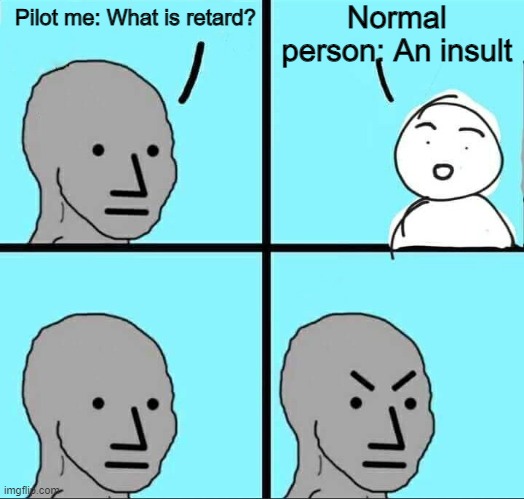 Bruh. | Normal person: An insult; Pilot me: What is retard? | image tagged in npc meme,memes | made w/ Imgflip meme maker
