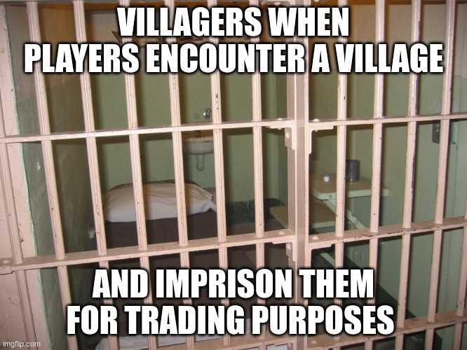 prison cell | VILLAGERS WHEN PLAYERS ENCOUNTER A VILLAGE; AND IMPRISON THEM FOR TRADING PURPOSES | image tagged in prison cell | made w/ Imgflip meme maker