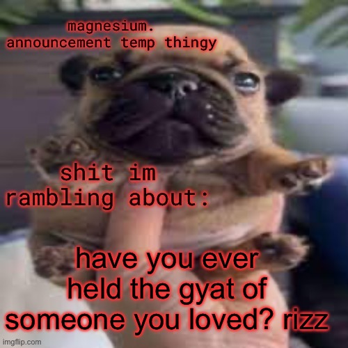 rizz | have you ever held the gyat of someone you loved? rizz | image tagged in pug temp | made w/ Imgflip meme maker
