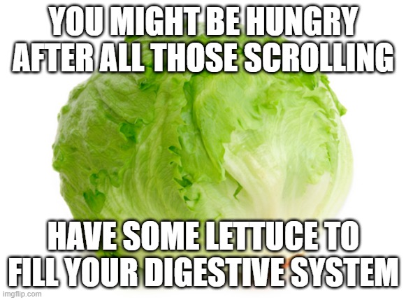 lettuce for the scrollers | YOU MIGHT BE HUNGRY AFTER ALL THOSE SCROLLING; HAVE SOME LETTUCE TO FILL YOUR DIGESTIVE SYSTEM | image tagged in lettuce,memes,funny | made w/ Imgflip meme maker