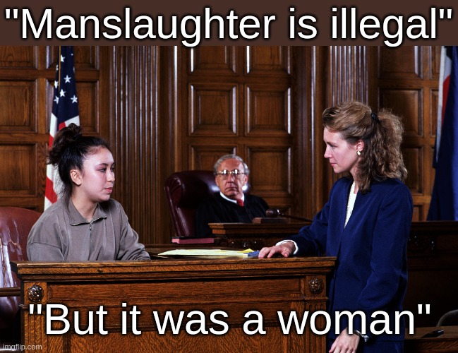 - - - - | "Manslaughter is illegal"; "But it was a woman" | image tagged in courtroom | made w/ Imgflip meme maker