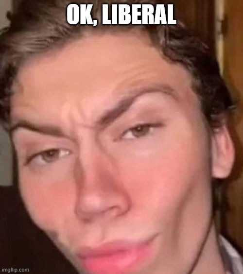 Rizz | OK, LIBERAL | image tagged in rizz | made w/ Imgflip meme maker