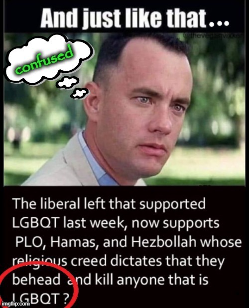 Dazed and confused ! | image tagged in forest gump | made w/ Imgflip meme maker