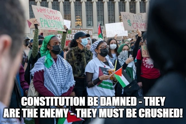 The Half Face of the Enemy | CONSTITUTION BE DAMNED - THEY ARE THE ENEMY - THEY MUST BE CRUSHED! | image tagged in protestors | made w/ Imgflip meme maker