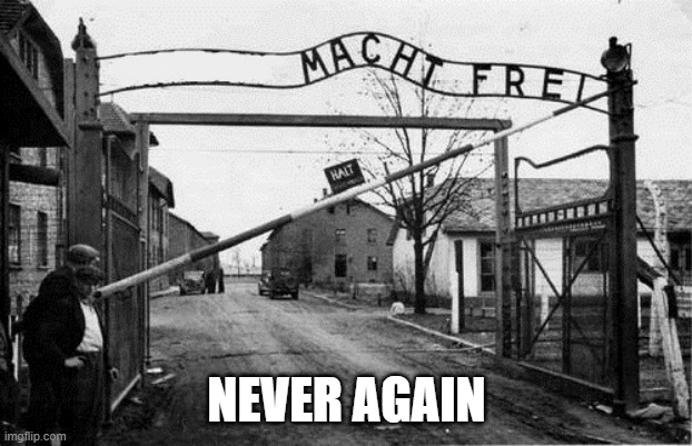 Auschwitz concentration camp blank | NEVER AGAIN | image tagged in auschwitz concentration camp blank | made w/ Imgflip meme maker