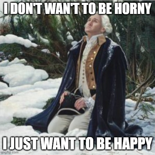 washington horny | I DON'T WAN'T TO BE HORNY; I JUST WANT TO BE HAPPY | image tagged in washington | made w/ Imgflip meme maker