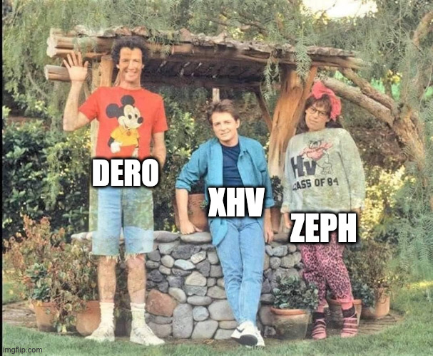 DERO; XHV; ZEPH | image tagged in fun | made w/ Imgflip meme maker