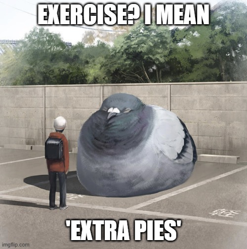 Exercise? I mean 'Extra Pies' | EXERCISE? I MEAN; 'EXTRA PIES' | image tagged in beeg birb | made w/ Imgflip meme maker