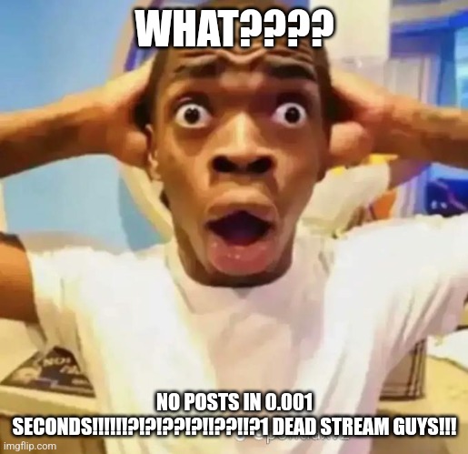 Shocked black guy | WHAT???? NO POSTS IN 0.001 SECONDS!!!!!!?!?!??!?!!??!!?1 DEAD STREAM GUYS!!! | image tagged in shocked black guy | made w/ Imgflip meme maker