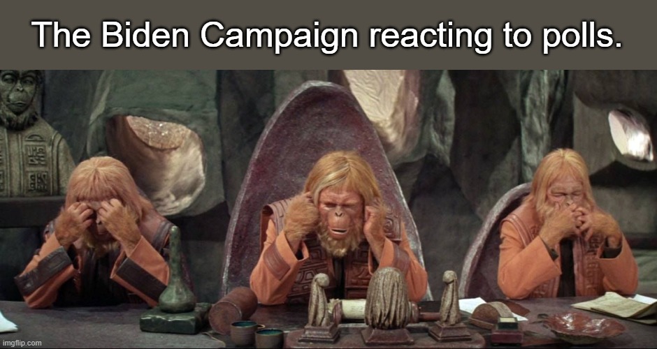 Denial is not a good strategy. | The Biden Campaign reacting to polls. | image tagged in planet of the apes see no evil hear no evil speak no evil,politics | made w/ Imgflip meme maker