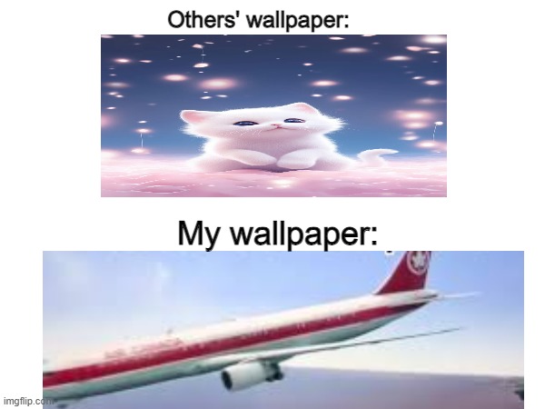 Yeah guys what do cats have to do with your life?! Just fly with a plane!! | Others' wallpaper:; My wallpaper: | image tagged in memes,cats,aviation,wallpapers | made w/ Imgflip meme maker
