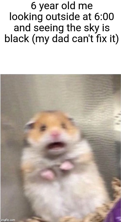 Uh oh | 6 year old me looking outside at 6:00 and seeing the sky is black (my dad can't fix it) | image tagged in scared hamster | made w/ Imgflip meme maker