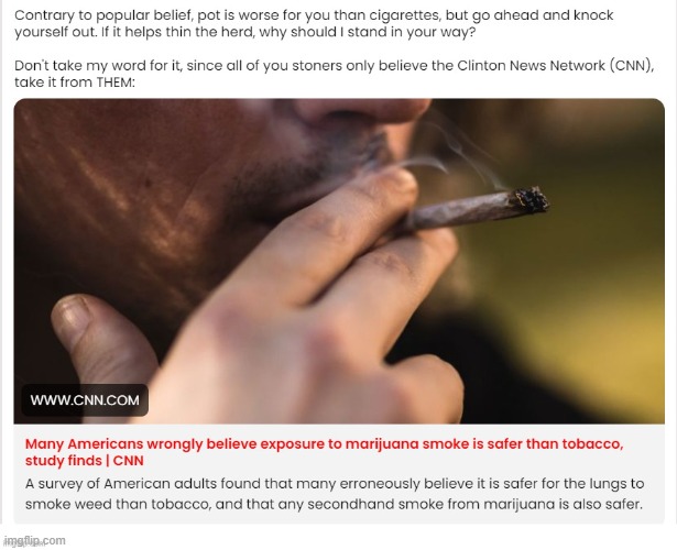 Contrary to popular belief, pot is worse for you than tobacco. | image tagged in stoners,stupid people be like,pothead,drug addiction,stoned guy,delusional | made w/ Imgflip meme maker