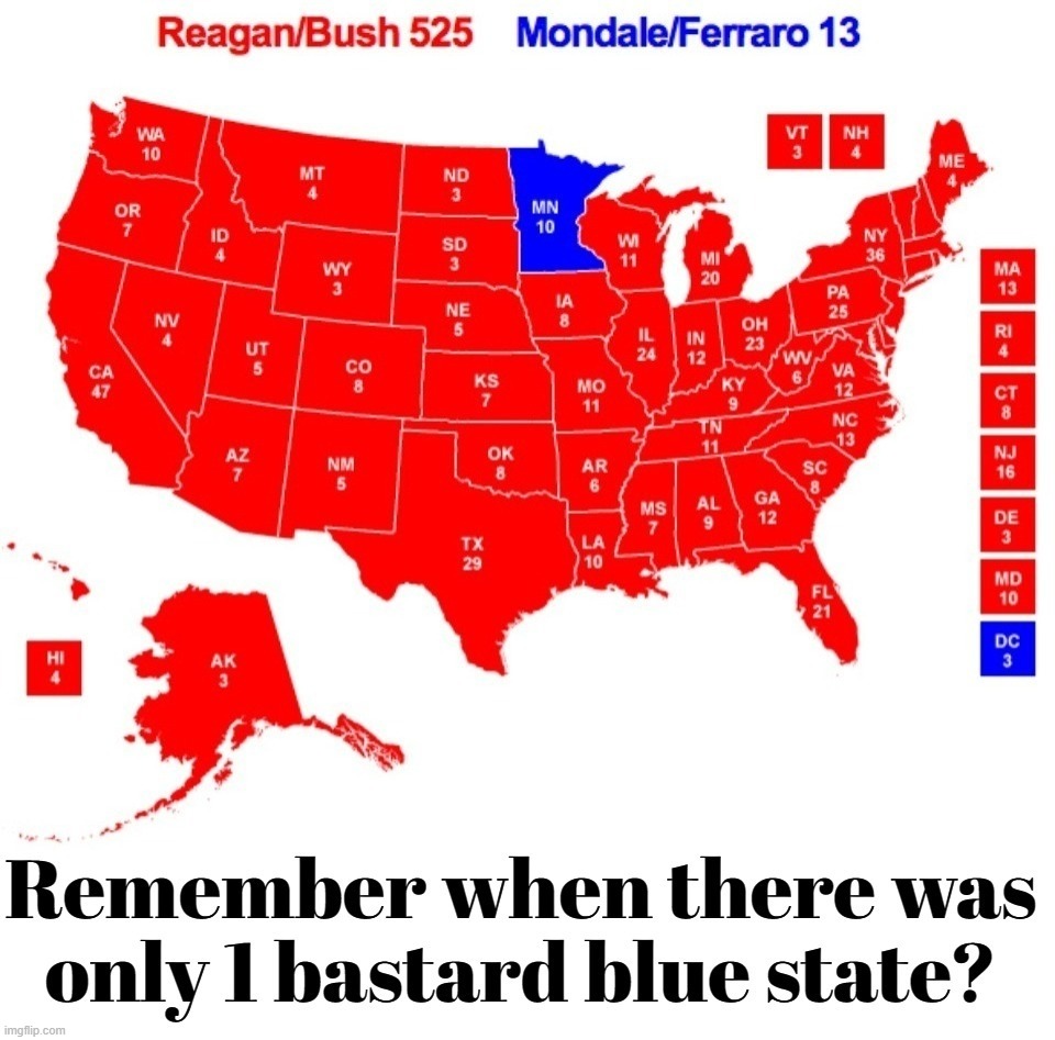 Remember When There Was Only 1 Bastard Blue State? | image tagged in red pill blue pill,those bastards lied to me,bastard stepchild,red states,blue states,inglorious basterds | made w/ Imgflip meme maker