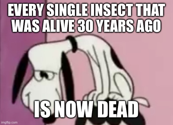 The snoops | EVERY SINGLE INSECT THAT
WAS ALIVE 30 YEARS AGO; IS NOW DEAD | image tagged in the snoops | made w/ Imgflip meme maker