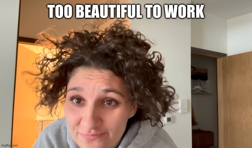 The Gal With No Plan Is Too Beautiful To Get A Job | TOO BEAUTIFUL TO WORK | image tagged in nika the gal with no plan | made w/ Imgflip meme maker