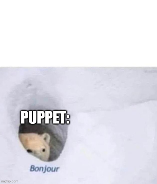 Bonjour | PUPPET: | image tagged in bonjour | made w/ Imgflip meme maker
