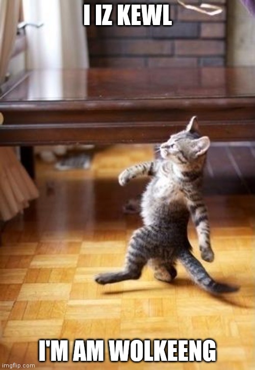Cool Cat Stroll | I IZ KEWL; I'M AM WOLKEENG | image tagged in memes,cool cat stroll,lolcat | made w/ Imgflip meme maker