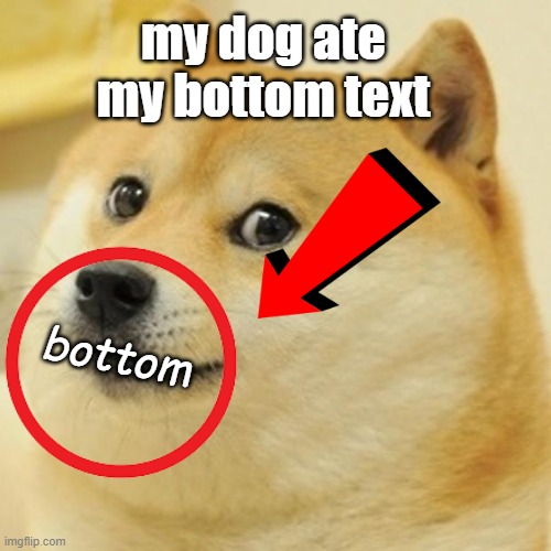 my dog | my dog ate my bottom text; bottom | image tagged in doge,my dog ate my,bottom text,my dog,bad pun dog | made w/ Imgflip meme maker