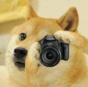 High Quality Doge taking a picture Blank Meme Template