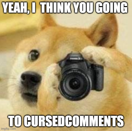 heres a template for cursedcomments | YEAH, I  THINK YOU GOING; TO CURSEDCOMMENTS | image tagged in doge taking a picture | made w/ Imgflip meme maker