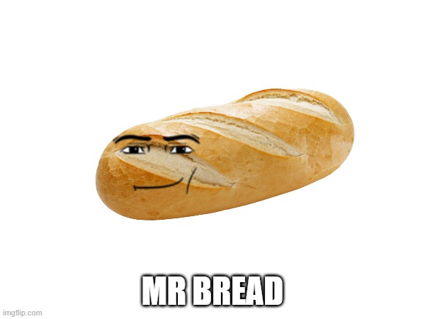 mr bread | MR BREAD | image tagged in mr,bread | made w/ Imgflip meme maker
