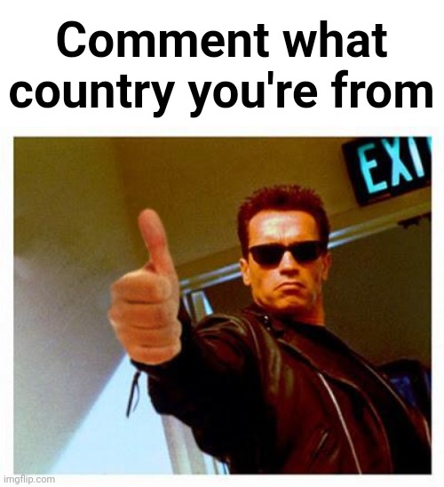 ignore if you think it's important for you | Comment what country you're from | image tagged in terminator thumbs up | made w/ Imgflip meme maker