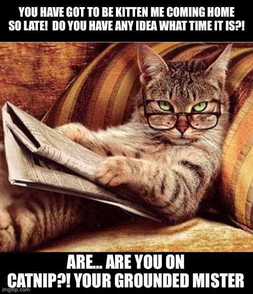 Cat Dad | YOU HAVE GOT TO BE KITTEN ME COMING HOME SO LATE!  DO YOU HAVE ANY IDEA WHAT TIME IT IS?! ARE… ARE YOU ON CATNIP?! YOUR GROUNDED MISTER | image tagged in are you for real cat,cats,cat,cat memes,kitten,catnip | made w/ Imgflip meme maker