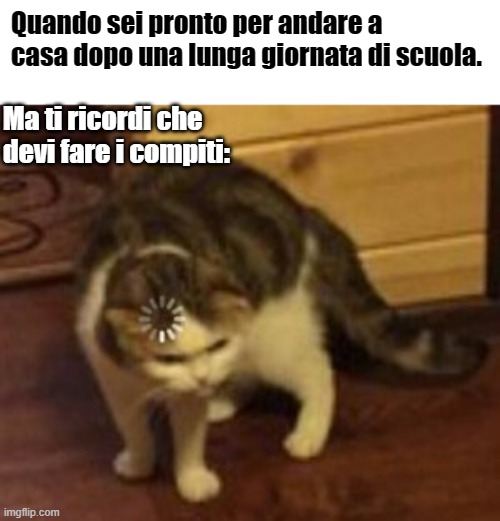 Loading cat | Quando sei pronto per andare a casa dopo una lunga giornata di scuola. Ma ti ricordi che devi fare i compiti: | image tagged in loading cat | made w/ Imgflip meme maker