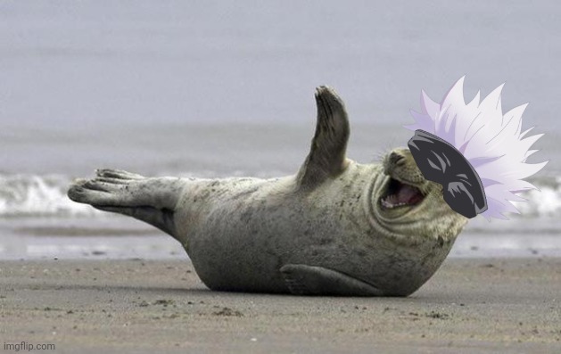laughing seal | image tagged in laughing seal | made w/ Imgflip meme maker