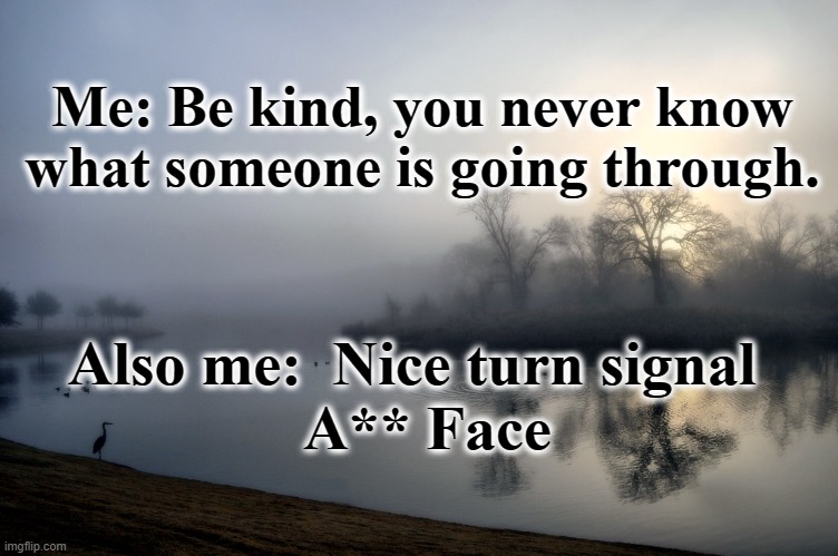 be kind but not too kind | Me: Be kind, you never know what someone is going through. Also me:  Nice turn signal 
 A** Face | image tagged in funny,humor,sarcastic | made w/ Imgflip meme maker