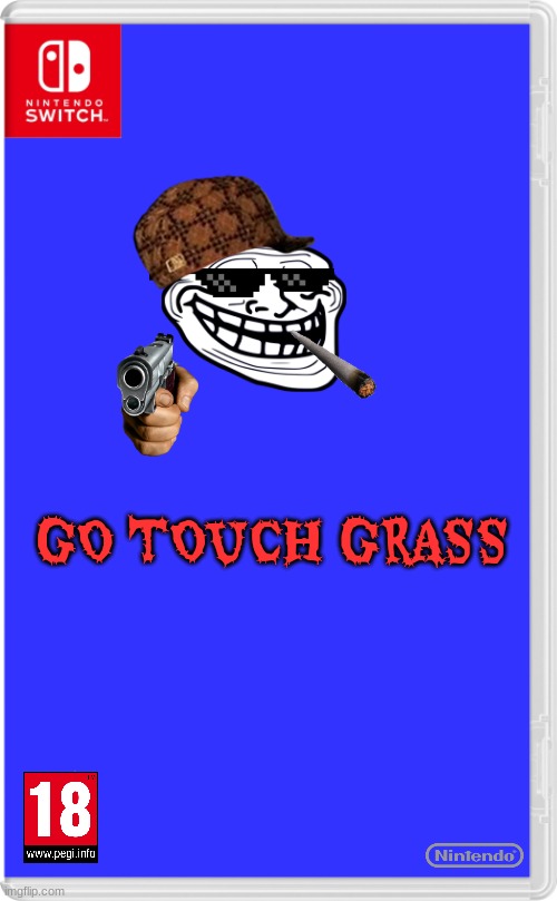 Nintendo Switch Cartridge Case | GO TOUCH GRASS | image tagged in nintendo switch cartridge case,touch grass,nintendo switch | made w/ Imgflip meme maker