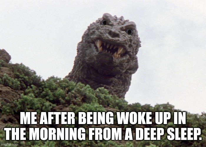 When you wake up in the morning. | ME AFTER BEING WOKE UP IN THE MORNING FROM A DEEP SLEEP. | image tagged in godzilla | made w/ Imgflip meme maker