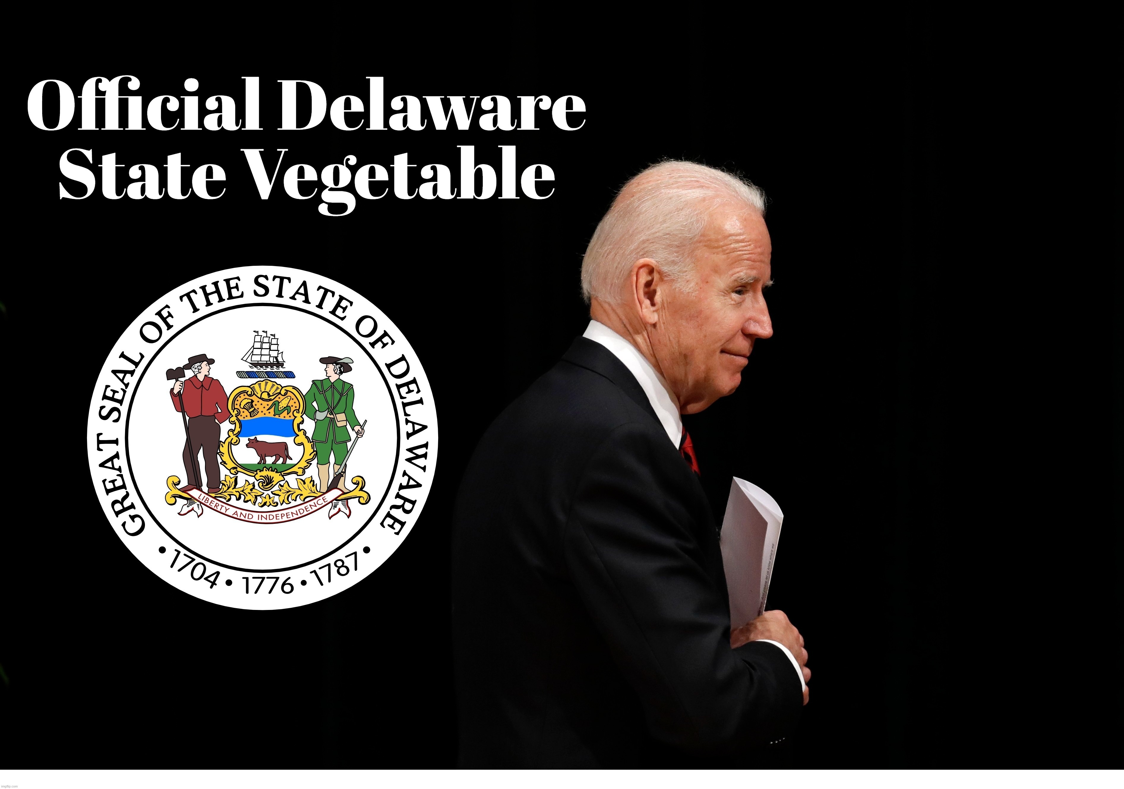 Official Delaware State Vegetable | image tagged in delaware,state vegetable,dementia joe,dementia,alzheimers,creepy joe biden | made w/ Imgflip meme maker